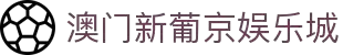 澳门新葡京娱乐城app，体验无与伦比的娱乐盛宴 - xinpujing
