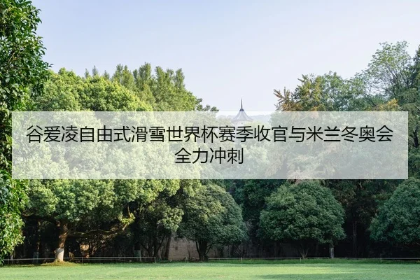 gu-ai-ling-zi-you-shi-hua-xue-shi-jie-bei-sai-ji-shou-guan-yu-mi-lan-dong-ao-hui-quan-li-chong-ci-2-795.jpg